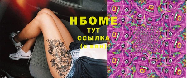 ГАЛЛЮЦИНОГЕННЫЕ ГРИБЫ Вязники