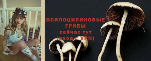 первитин Горняк