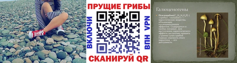 Псилоцибиновые грибы Cubensis  купить наркоту  Зуевка 