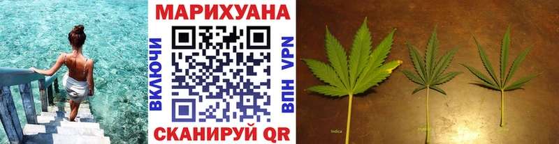 Конопля план  hydra сайт  Зуевка 